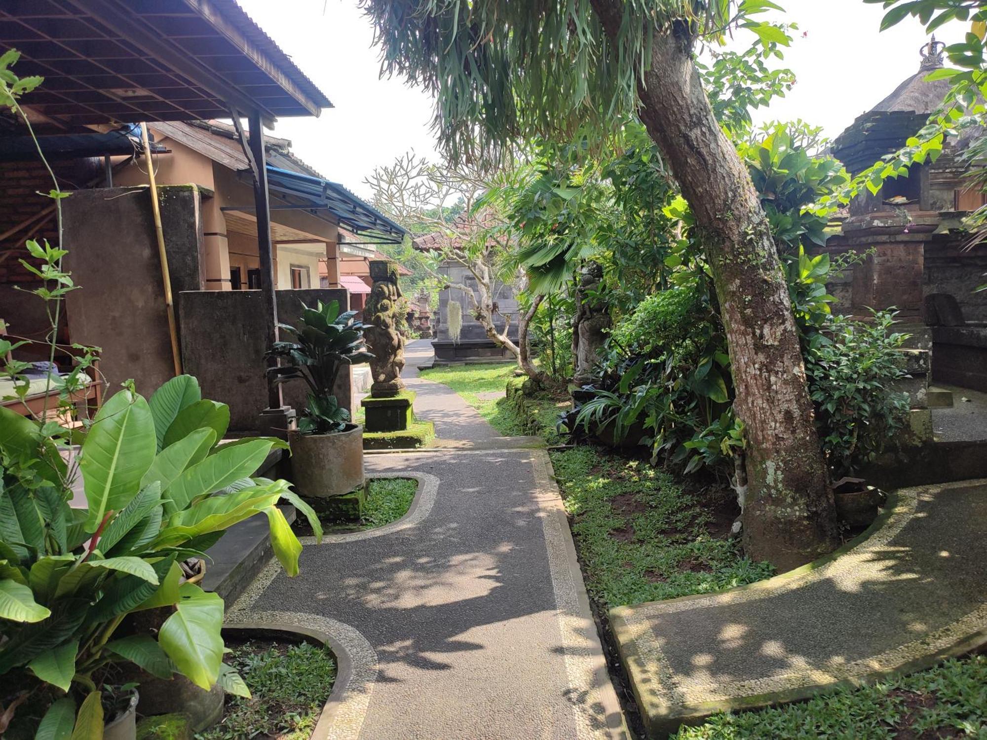 Bhuana Shanti Homestay Ubud Szoba fotó